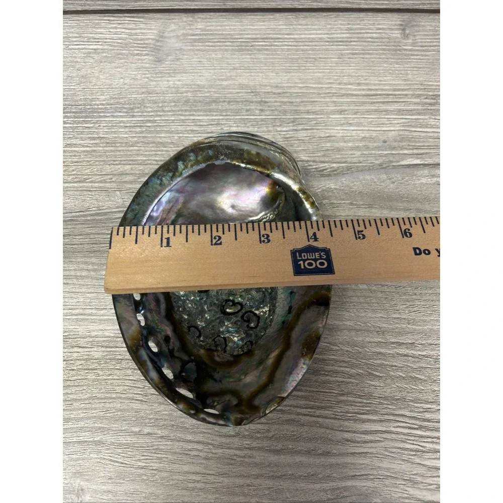 Large Abalone Seashell Iridescent Bowl Beach Home‎ Decor Pearl A3